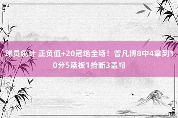 球员统计 正负值+20冠绝全场！曾凡博8中4拿到10分5篮板1抢断3盖帽