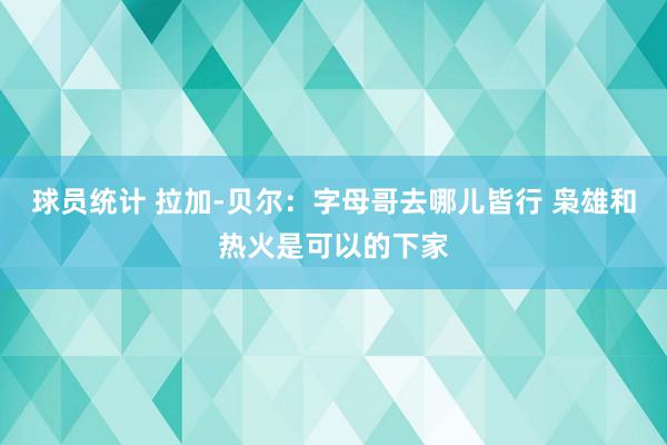 球员统计 拉加-贝尔：字母哥去哪儿皆行 枭雄和热火是可以的下家