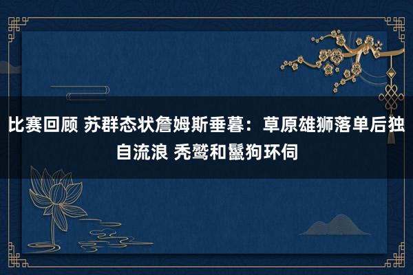 比赛回顾 苏群态状詹姆斯垂暮：草原雄狮落单后独自流浪 秃鹫和鬣狗环伺