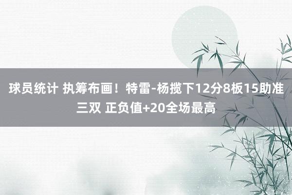 球员统计 执筹布画！特雷-杨揽下12分8板15助准三双 正负值+20全场最高